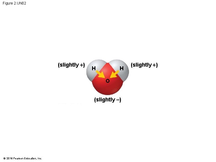 Figure 2. UN 02 (slightly +) H H O (slightly ) © 2016 Pearson