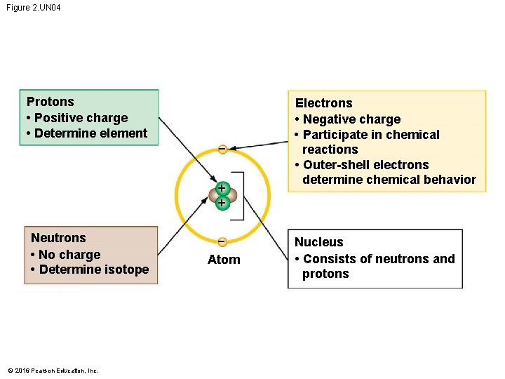 Figure 2. UN 04 Protons • Positive charge • Determine element + + Neutrons