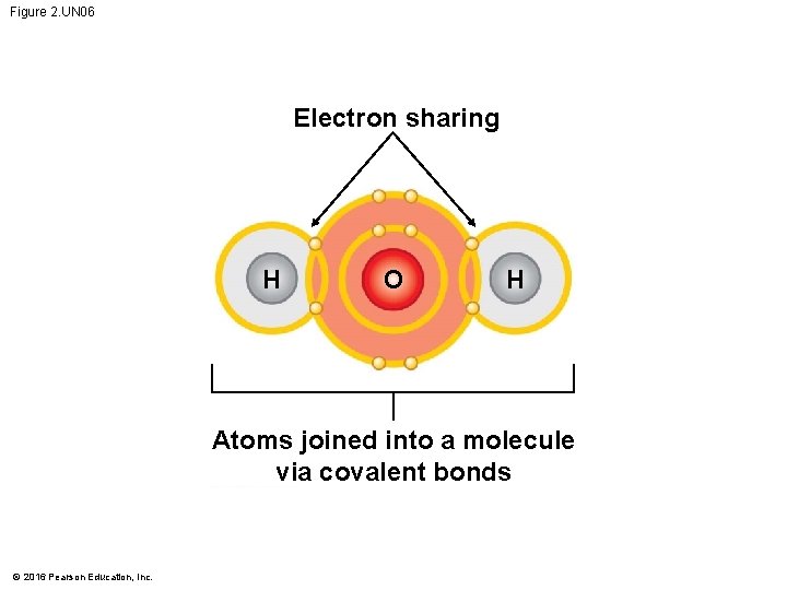 Figure 2. UN 06 Electron sharing H O H Atoms joined into a molecule