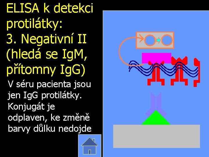 ELISA k detekci protilátky: 3. Negativní II (hledá se Ig. M, přítomny Ig. G)