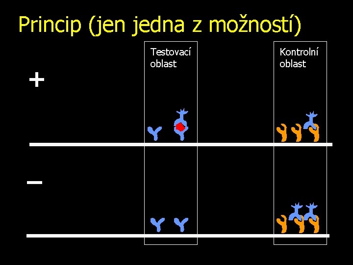 Princip (jen jedna z možností) + – Testovací oblast Kontrolní oblast 