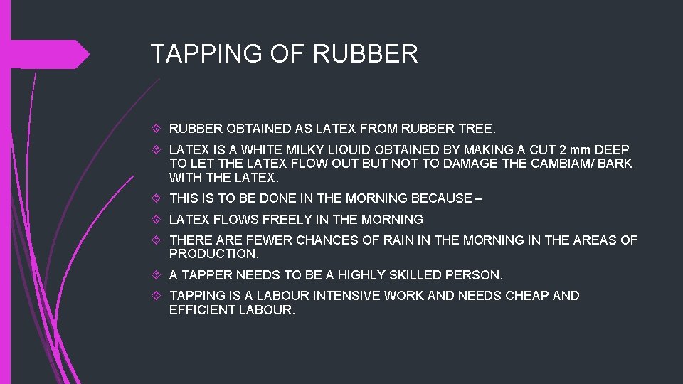 TAPPING OF RUBBER OBTAINED AS LATEX FROM RUBBER TREE. LATEX IS A WHITE MILKY