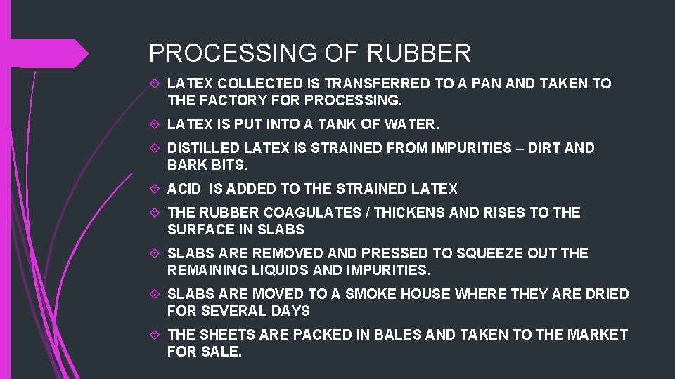 PROCESSING OF RUBBER LATEX COLLECTED IS TRANSFERRED TO A PAN AND TAKEN TO THE