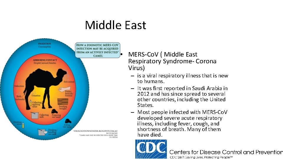 Middle East • MERS-Co. V ( Middle East Respiratory Syndrome- Corona Virus) – is