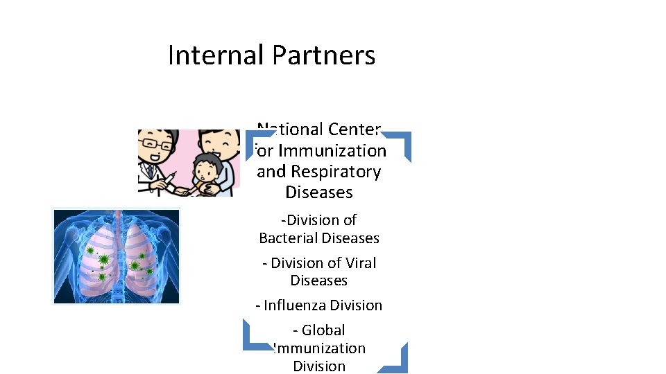 Internal Partners National Center for Immunization and Respiratory Diseases -Division of Bacterial Diseases -