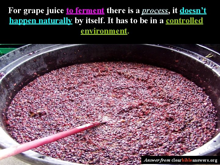 For grape juice to ferment there is a process, it doesn’t happen naturally by