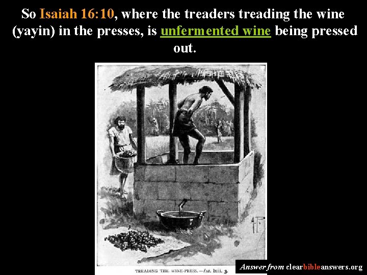 So Isaiah 16: 10, where the treaders treading the wine (yayin) in the presses,