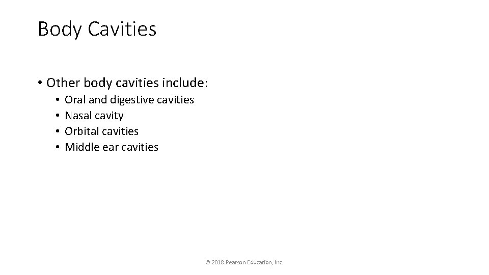 Body Cavities • Other body cavities include: • • Oral and digestive cavities Nasal