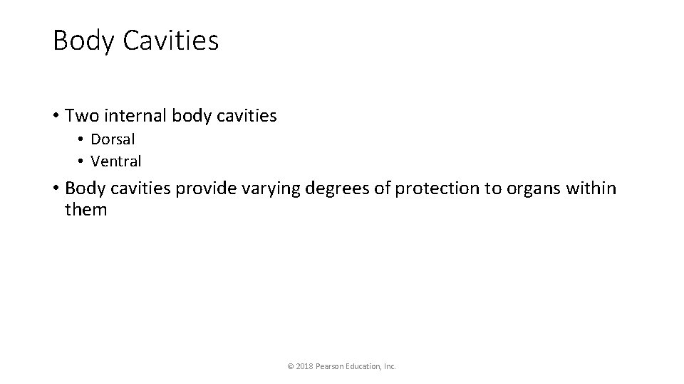 Body Cavities • Two internal body cavities • Dorsal • Ventral • Body cavities