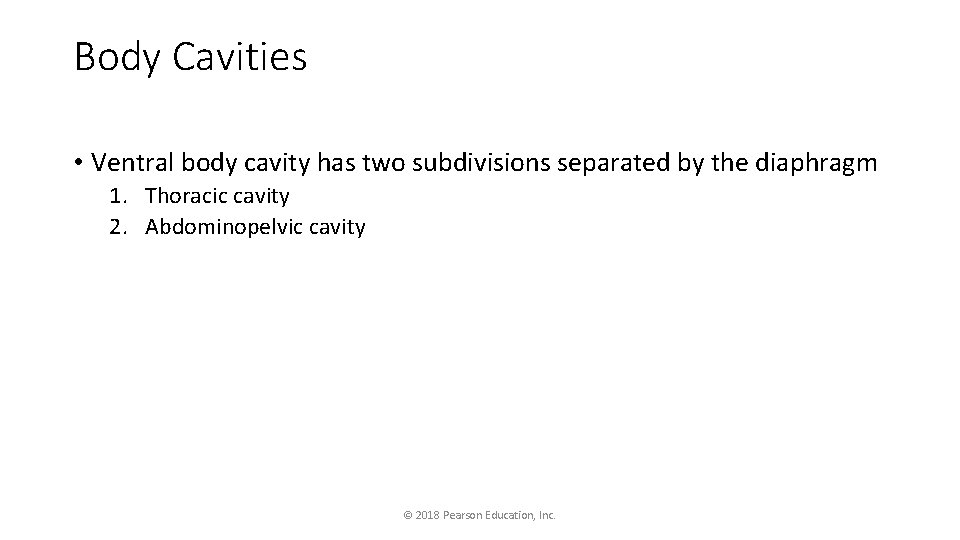 Body Cavities • Ventral body cavity has two subdivisions separated by the diaphragm 1.