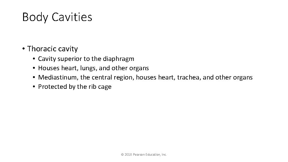 Body Cavities • Thoracic cavity • • Cavity superior to the diaphragm Houses heart,