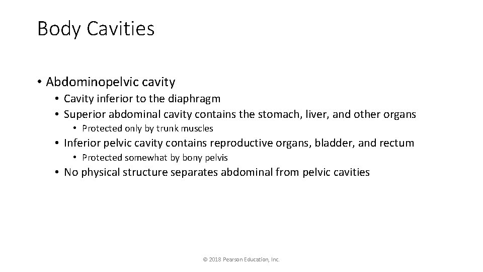 Body Cavities • Abdominopelvic cavity • Cavity inferior to the diaphragm • Superior abdominal