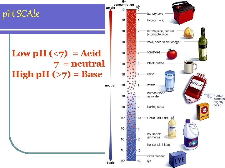 p. H SCAle Low p. H (<7) = Acid 7 = neutral High p.