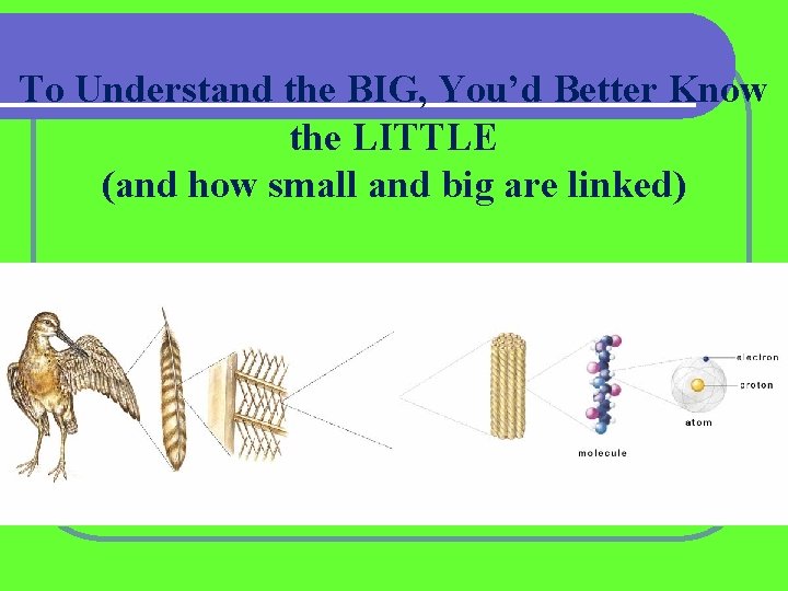 To Understand the BIG, You’d Better Know the LITTLE (and how small and big