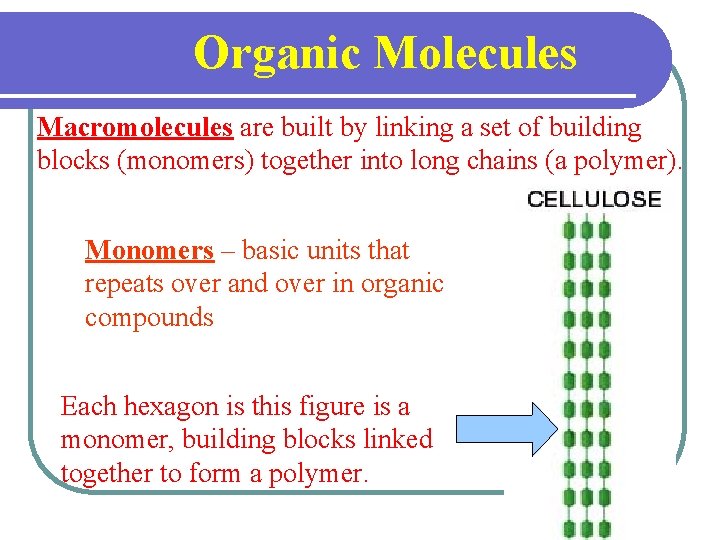 Organic Molecules Macromolecules are built by linking a set of building blocks (monomers) together