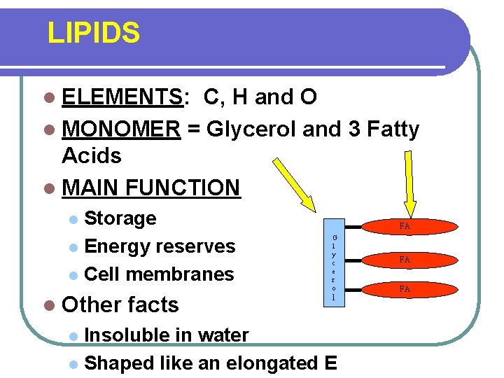 LIPIDS l ELEMENTS: C, H and O l MONOMER = Glycerol and 3 Fatty
