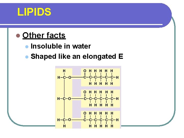 LIPIDS l Other facts Insoluble in water l Shaped like an elongated E l