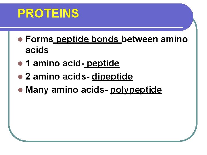 PROTEINS l Forms peptide bonds between amino acids l 1 amino acid- peptide l