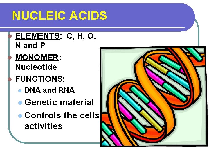 NUCLEIC ACIDS ELEMENTS: C, H, O, N and P l MONOMER: Nucleotide l FUNCTIONS: