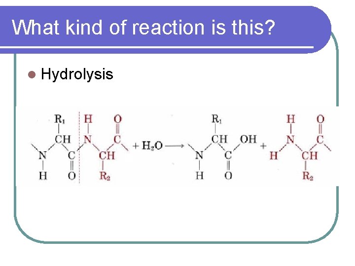 What kind of reaction is this? l Hydrolysis 