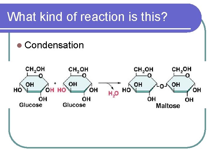 What kind of reaction is this? l Condensation 