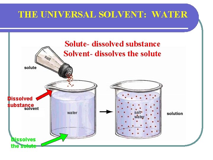 THE UNIVERSAL SOLVENT: WATER Solute- dissolved substance Solvent- dissolves the solute Dissolved substance Dissolves