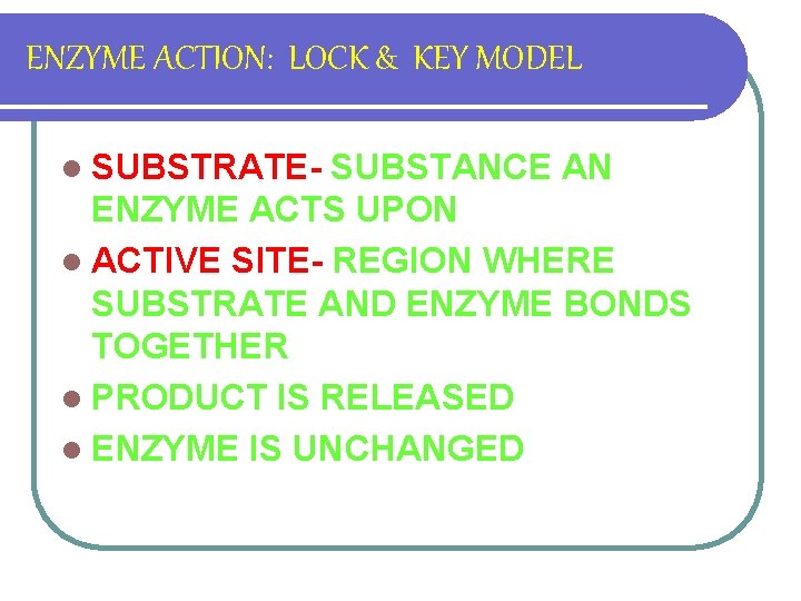 ENZYME ACTION: LOCK & KEY MODEL l SUBSTRATE- SUBSTANCE AN ENZYME ACTS UPON l