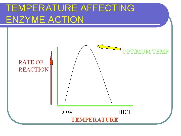 TEMPERATURE AFFECTING ENZYME ACTION OPTIMUM TEMP RATE OF REACTION LOW HIGH TEMPERATURE 