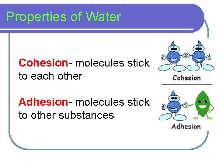 Properties of Water Cohesion- molecules stick to each other Adhesion- molecules stick to other