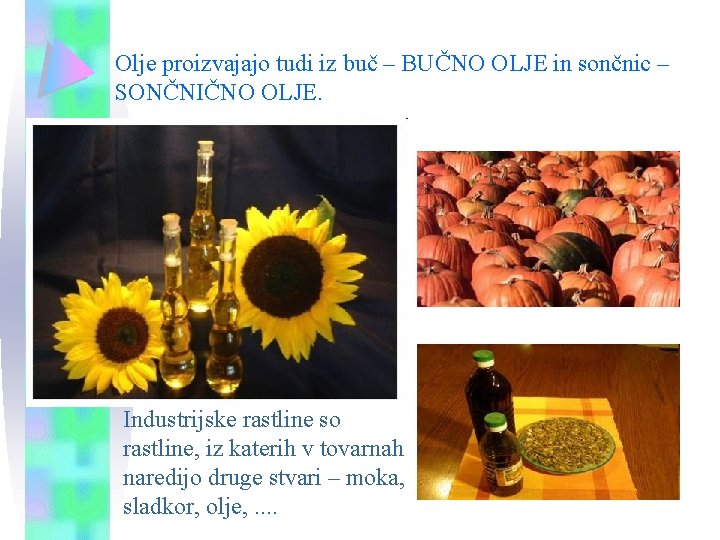 Olje proizvajajo tudi iz buč – BUČNO OLJE in sončnic – SONČNIČNO OLJE. Industrijske Olje proizvajajo tudi iz buč – BUČNO OLJE in sončnic – SONČNIČNO OLJE. Industrijske