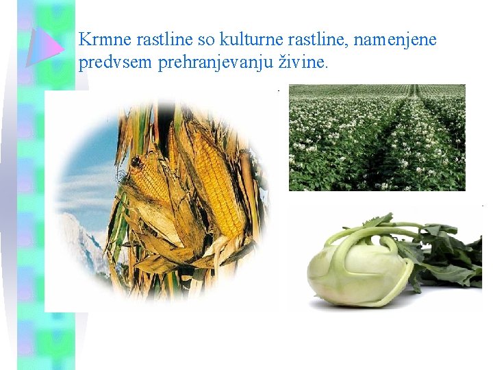 Krmne rastline so kulturne rastline, namenjene predvsem prehranjevanju živine. Krmne rastline so kulturne rastline, namenjene predvsem prehranjevanju živine.