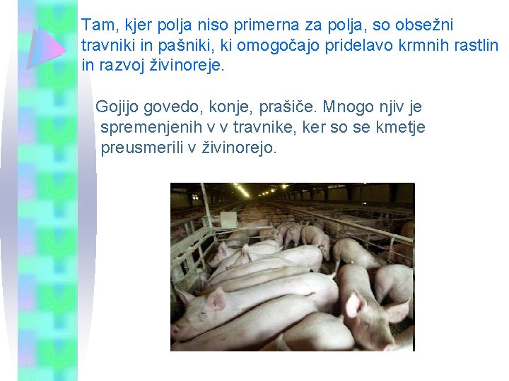 Tam, kjer polja niso primerna za polja, so obsežni travniki in pašniki, ki omogočajo