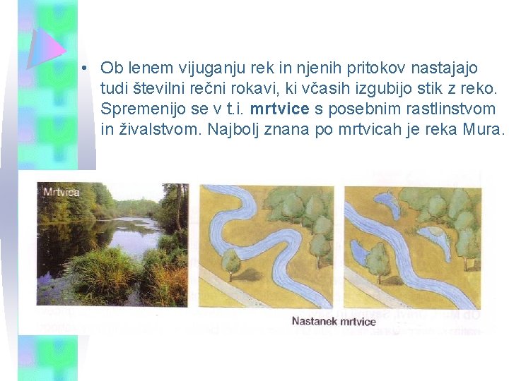 • Ob lenem vijuganju rek in njenih pritokov nastajajo tudi številni rečni rokavi, • Ob lenem vijuganju rek in njenih pritokov nastajajo tudi številni rečni rokavi,