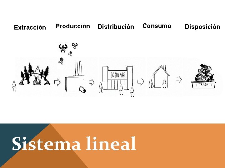 Extracción Producción Distribución Sistema lineal Consumo Disposición 