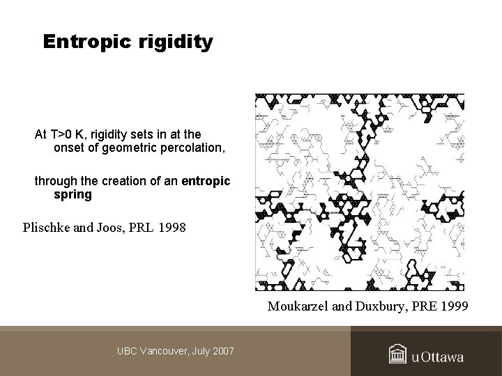 Entropic rigidity At T>0 K, rigidity sets in at the onset of geometric percolation,
