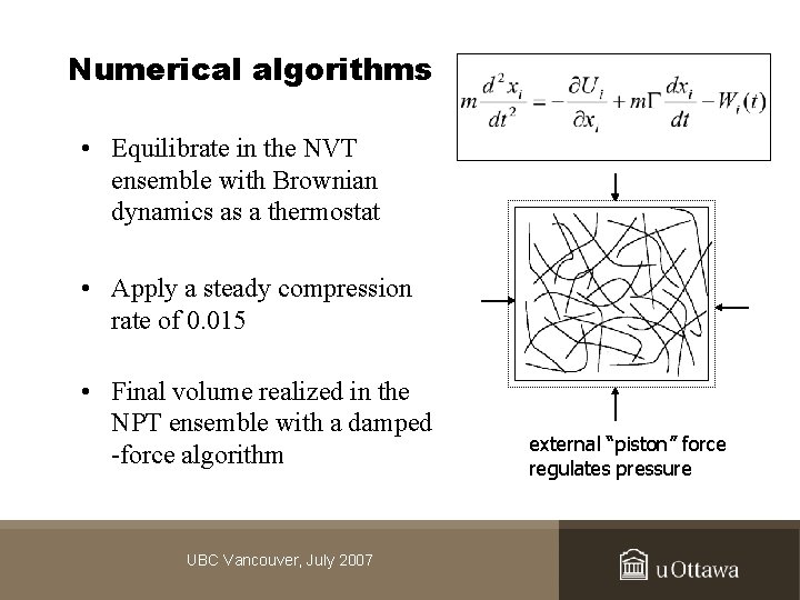 Numerical algorithms • Equilibrate in the NVT ensemble with Brownian dynamics as a thermostat