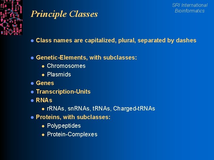 Principle Classes SRI International Bioinformatics l Class names are capitalized, plural, separated by dashes