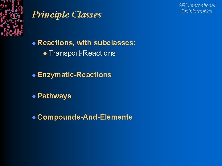 Principle Classes l Reactions, with subclasses: l Transport-Reactions l Enzymatic-Reactions l Pathways l Compounds-And-Elements