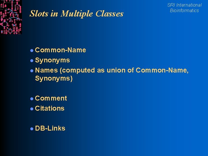 Slots in Multiple Classes SRI International Bioinformatics l Common-Name l Synonyms l Names (computed