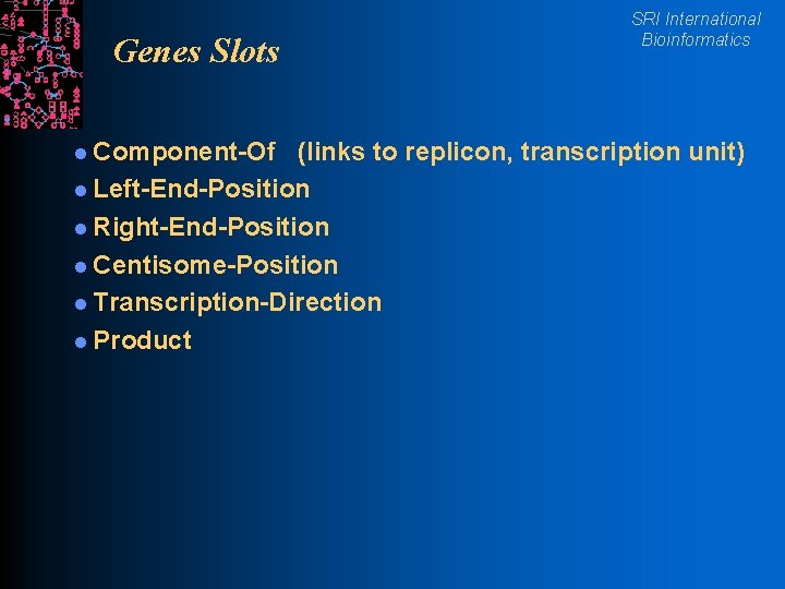 Genes Slots l Component-Of SRI International Bioinformatics (links to replicon, transcription unit) l Left-End-Position