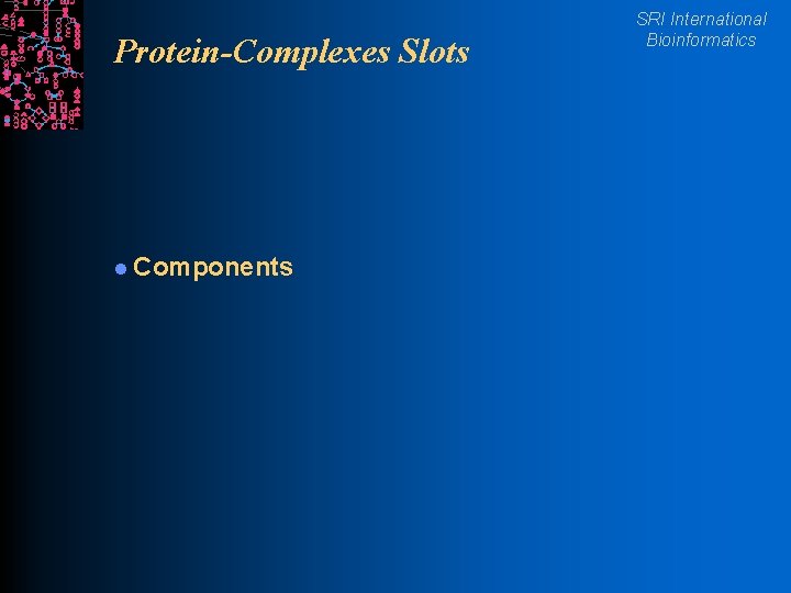 Protein-Complexes Slots l Components SRI International Bioinformatics 