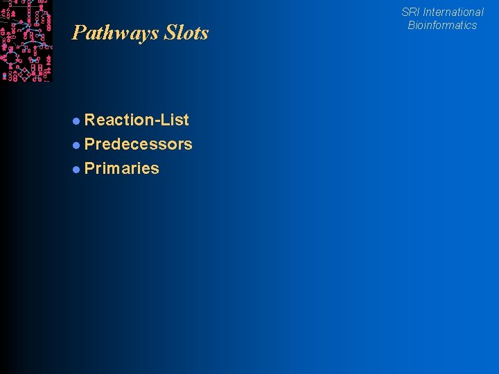 Pathways Slots l Reaction-List l Predecessors l Primaries SRI International Bioinformatics 