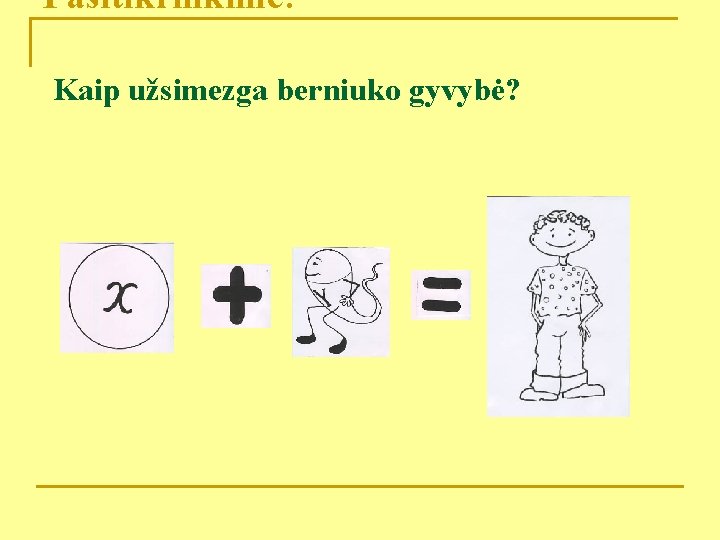 Pasitikrinkime: Kaip užsimezga berniuko gyvybė? 