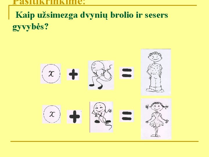 Pasitikrinkime: Kaip užsimezga dvynių brolio ir sesers gyvybės? 