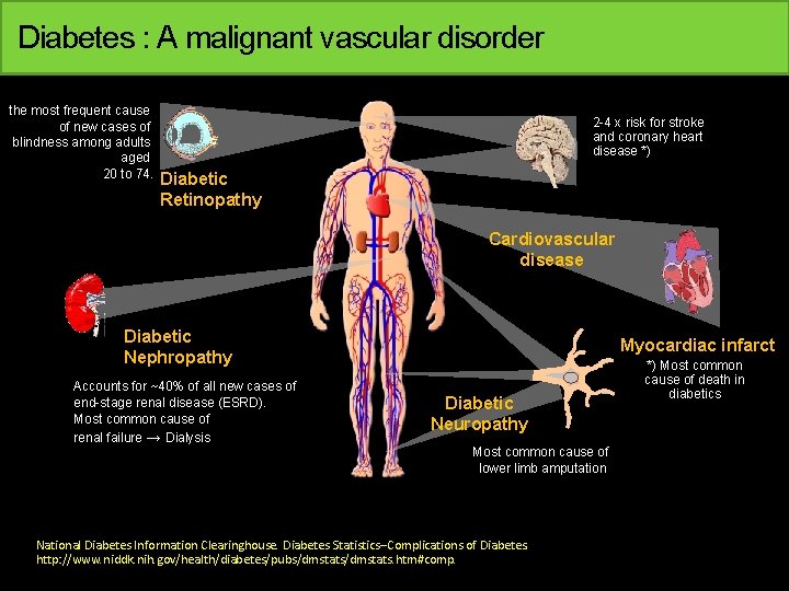 Diabetes : A malignant vascular disorder the most frequent cause of new cases of