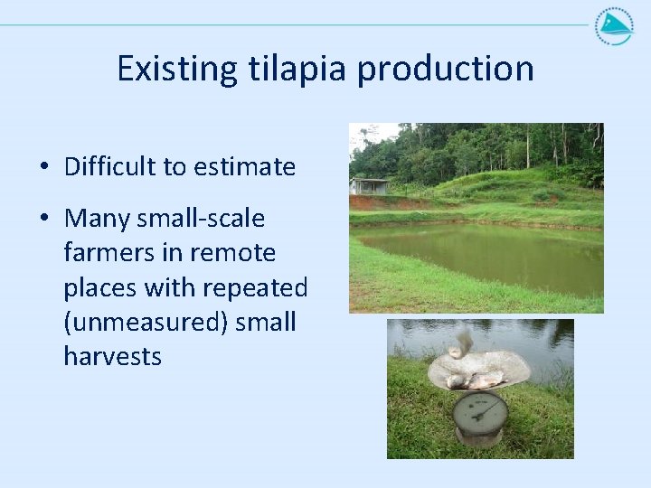 Existing tilapia production • Difficult to estimate • Many small-scale farmers in remote places