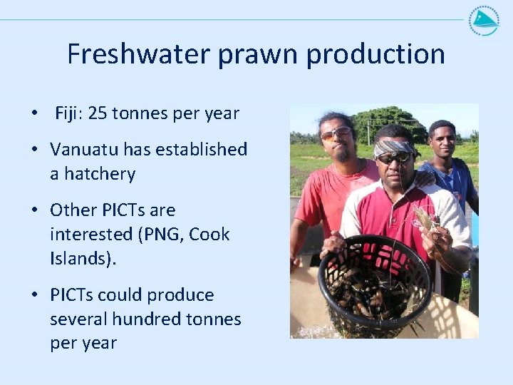 Freshwater prawn production • Fiji: 25 tonnes per year • Vanuatu has established a