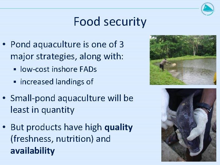 Food security • Pond aquaculture is one of 3 major strategies, along with: low-cost