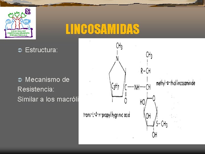 LINCOSAMIDAS Ü Estructura: Mecanismo de Resistencia: Similar a los macrólidos Ü 
