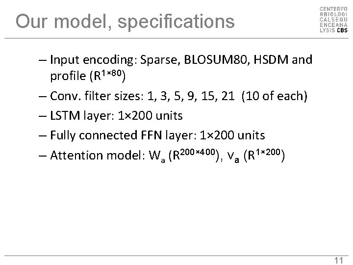 Our model, specifications – Input encoding: Sparse, BLOSUM 80, HSDM and profile (R 1×